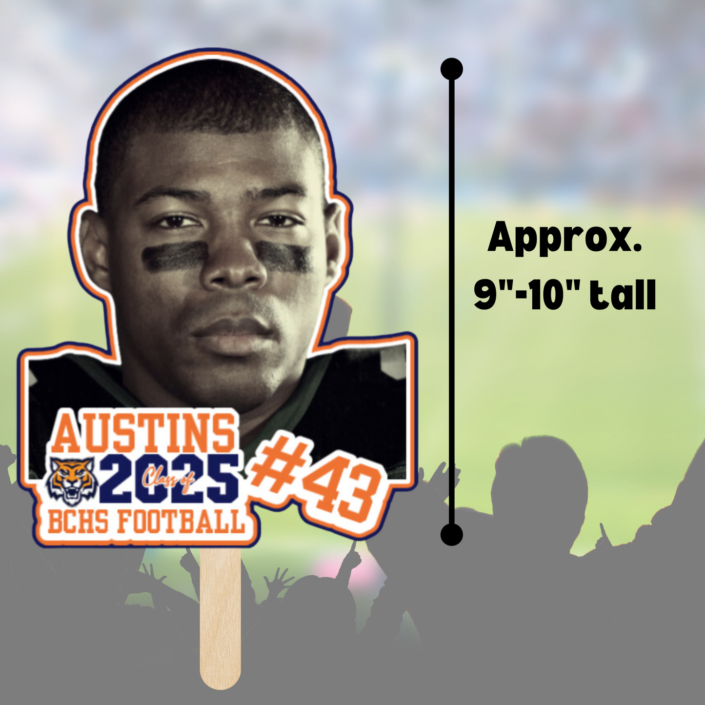 Face on a Stick: Small, Fan Sized